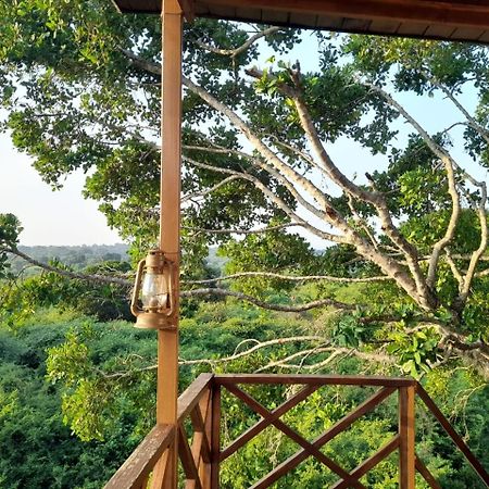 Leopard Nest - Glamping In Yala Hotel Luaran gambar