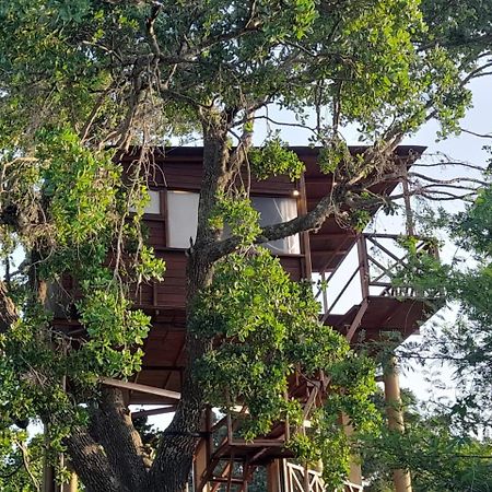 Leopard Nest - Glamping In Yala Hotel Luaran gambar