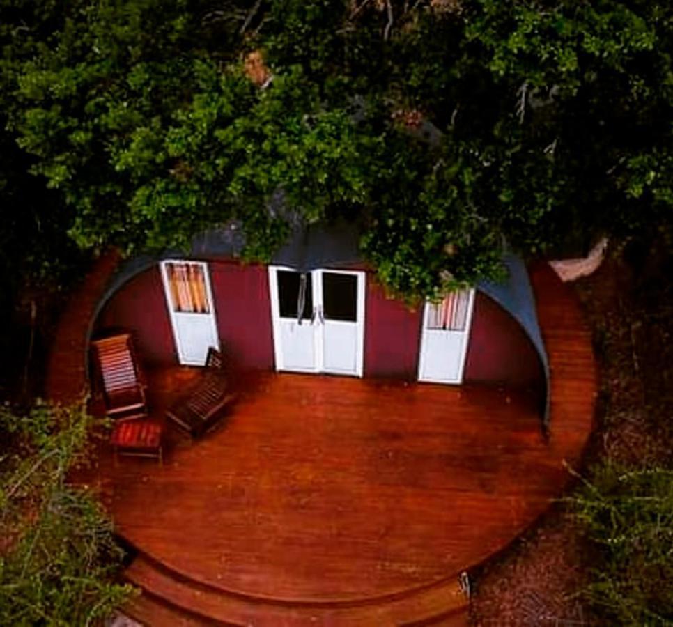 Leopard Nest - Glamping In Yala Hotel Luaran gambar