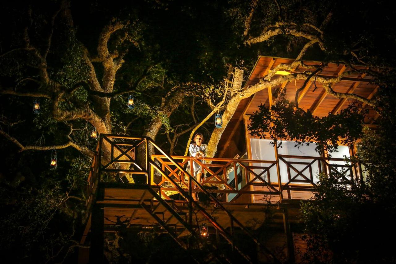 Leopard Nest - Glamping In Yala Hotel Luaran gambar