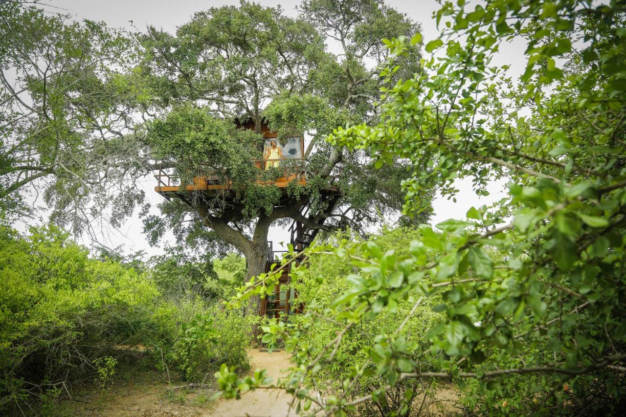 Leopard Nest - Glamping In Yala Hotel Luaran gambar