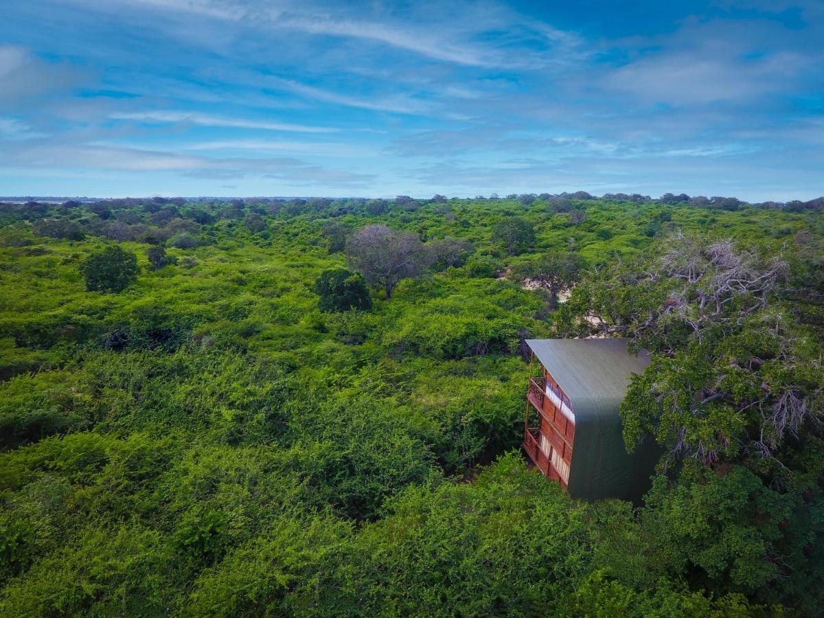 Leopard Nest - Glamping In Yala Hotel Luaran gambar