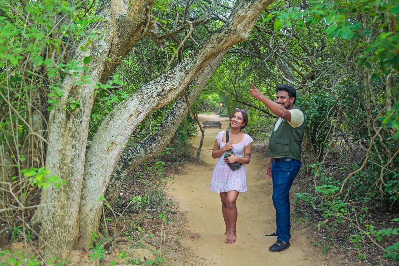 Leopard Nest - Glamping In Yala Hotel Luaran gambar