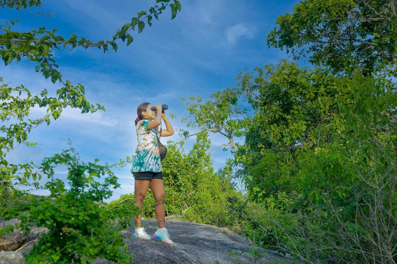 Leopard Nest - Glamping In Yala Hotel Luaran gambar