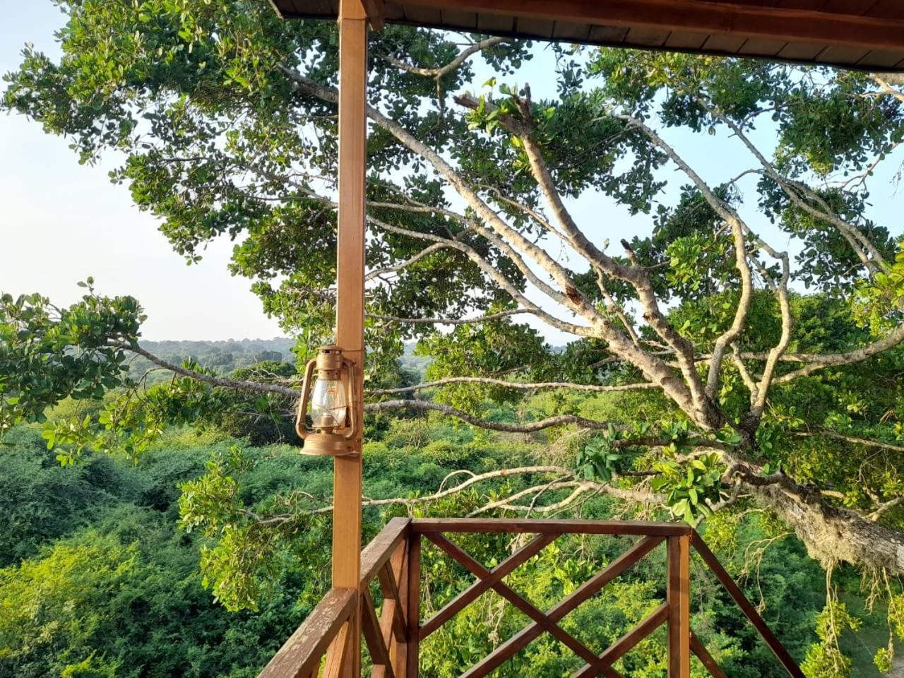 Leopard Nest - Glamping In Yala Hotel Luaran gambar