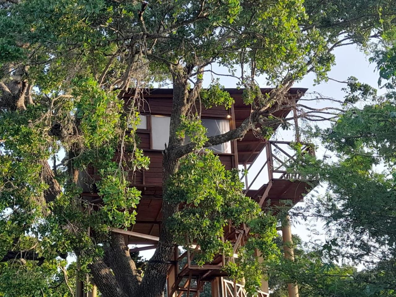 Leopard Nest - Glamping In Yala Hotel Luaran gambar