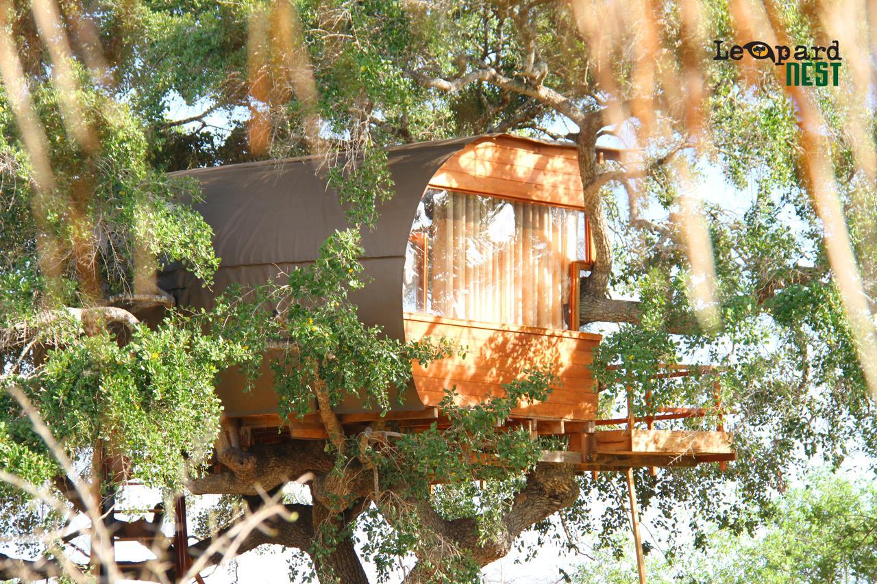 Leopard Nest - Glamping In Yala Hotel Luaran gambar