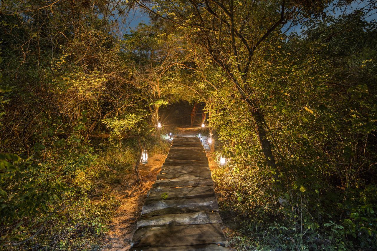 Leopard Nest - Glamping In Yala Hotel Luaran gambar