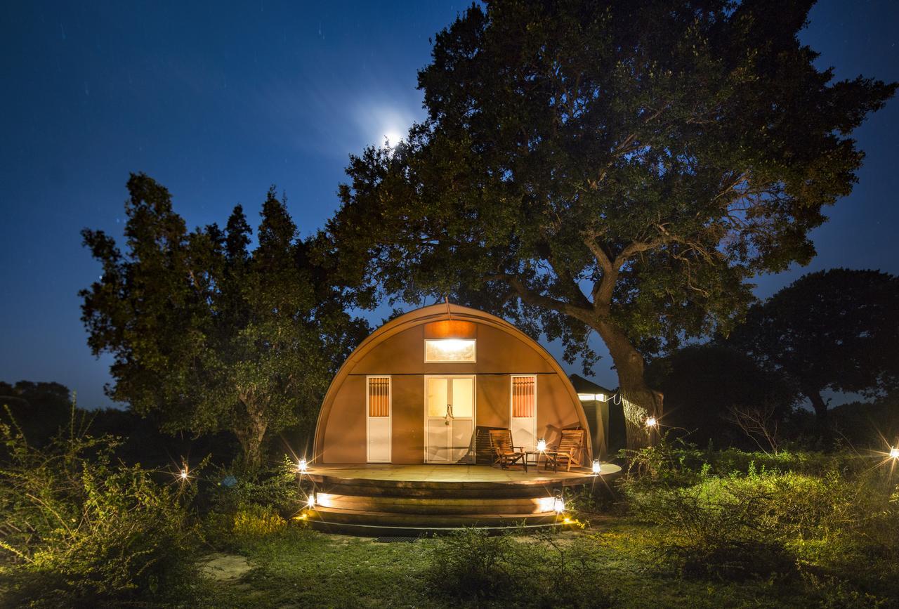 Leopard Nest - Glamping In Yala Hotel Luaran gambar