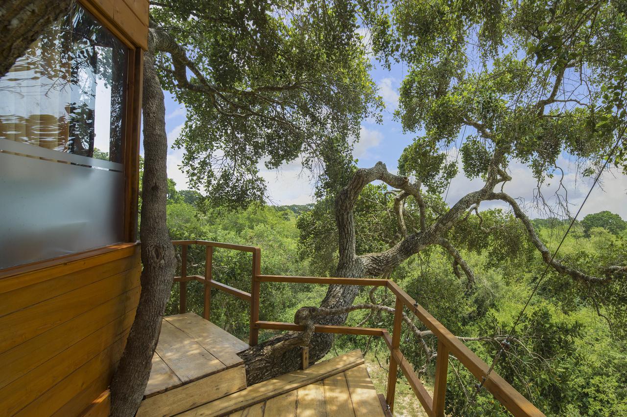 Leopard Nest - Glamping In Yala Hotel Luaran gambar