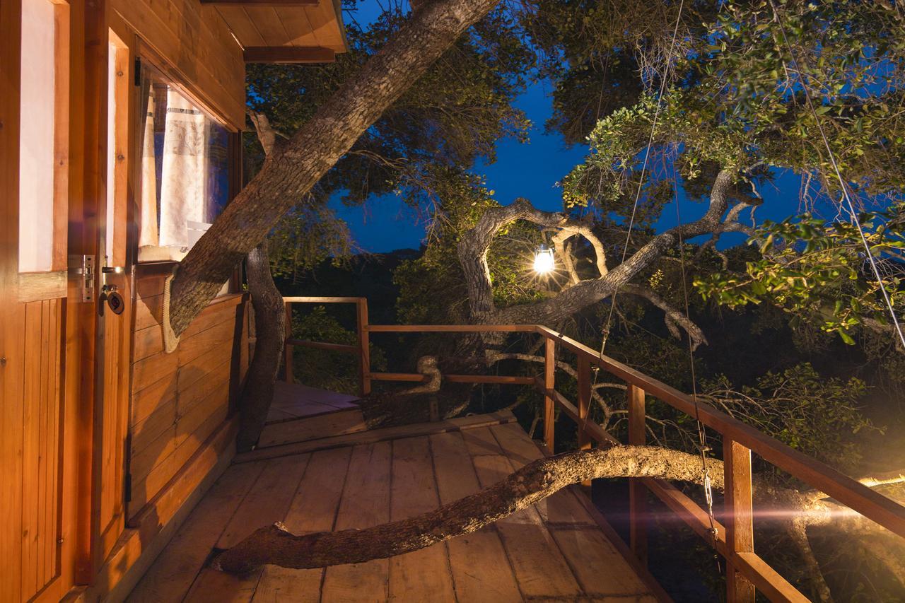 Leopard Nest - Glamping In Yala Hotel Luaran gambar